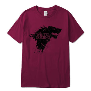 WINTER IS COMING T Shirt